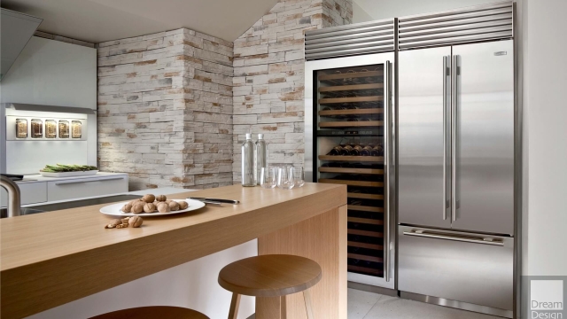 Chilling Solutions: Unleashing the Power of Sub Zero Appliances and Freezers