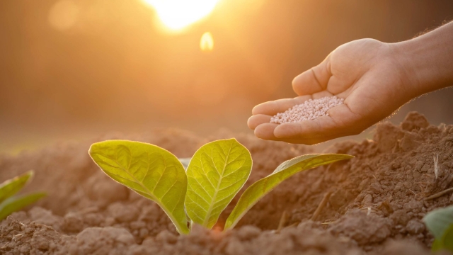 Nurturing Your Garden: Unleashing the Power of Organic Soil and Fertilizer