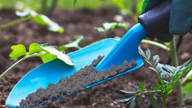 Revitalizing Gardens: Exploring the Power of Organic Soil and Fertilizer