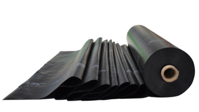 A Closer Look at the Revolutionary Geomembrane Technology