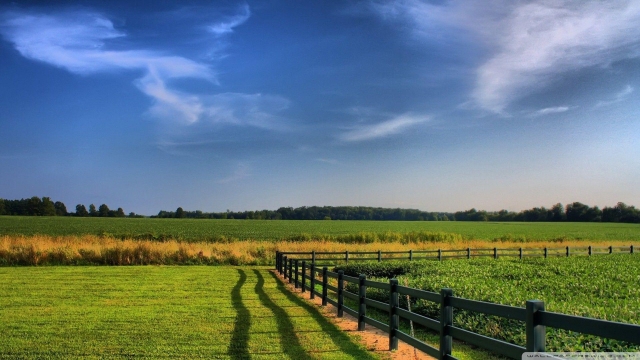 Unveiling the Coastal Farm Oasis: Where Sustainability Meets Serenity