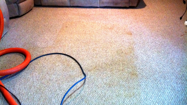 Fresh Tips for Reviving Your Carpets: A Comprehensive Guide to Professional Cleaning