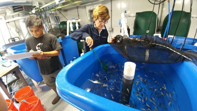 Revolutionizing the Deep: The Future of Aquaculture Technology