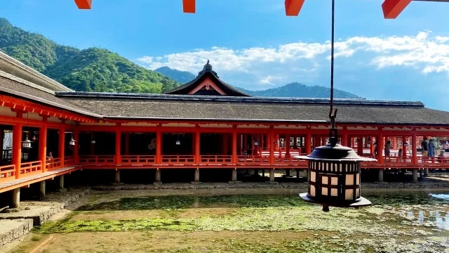 Exploring Japan’s Sacred Spaces: The Ultimate Shrine Rankings Revealed!